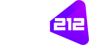 SIAM212